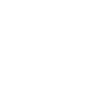 ZF0004_Apple Pay Icon - White