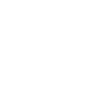 ZF0004_Google Pay logo white